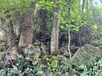 LT 908 Stonegate Dr., Burnside, Kentucky 42519, USA
