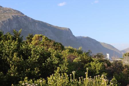 Bettys Bay, Western Cape, South Africa