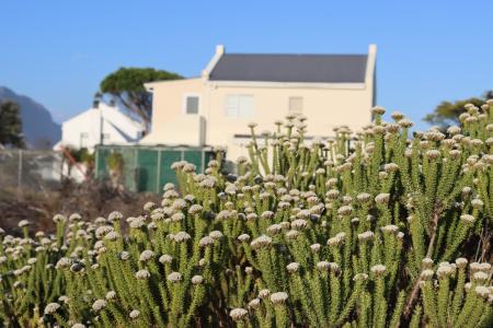 Bettys Bay, Western Cape, South Africa