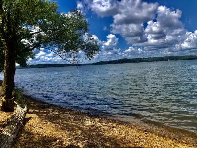 0 Shores Trail, Stewart, Tennessee 37175, USA