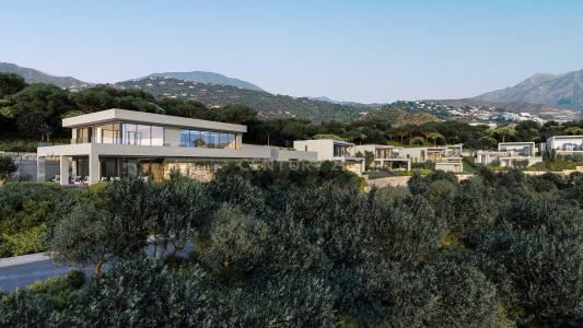 Malaga, Andalucía 29679, Spain