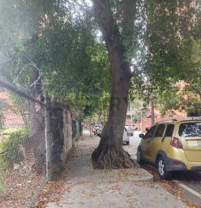 junin terreno, Caracas, Miranda 1060, 베네수엘라