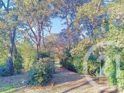 St Privat Des Vieux, Languedoc-Roussillon 30340, 法國