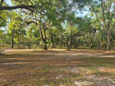 452 NE 474th Avenue, Old Town, Florida 32680