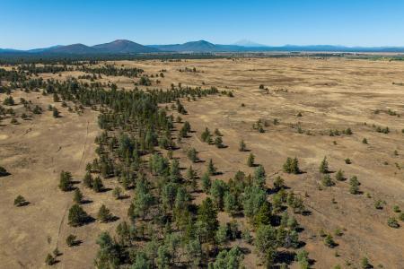 Old Hwy Rd Road, Mcarthur, California 96056