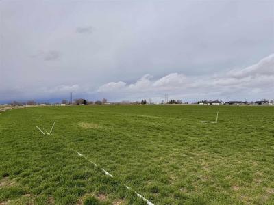 TBD 400 W 350 S, Heyburn, Idaho 83336, Estados Unidos