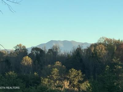 Lot 19 English Fields Drive, Newport, Tennessee 37821, USA