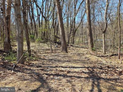 Lot 23, Emerald Dr., Falling Waters, WV 25419, USA
