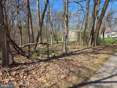 Lot 23, Emerald Dr., Falling Waters, West Virginia 25419, USA