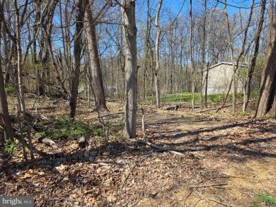 Lot 23, Emerald Dr., Falling Waters, West Virginia 25419, USA
