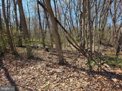 Lot 23, Emerald Dr., Falling Waters, West Virginia 25419, USA