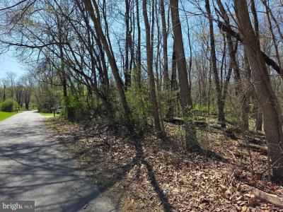 Lot 23, Emerald Dr., Falling Waters, West Virginia 25419, USA