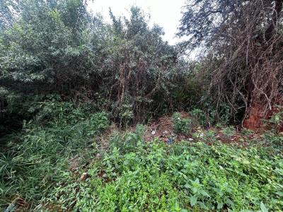 Mokopane, Limpopo, Republika Południowej Afryki