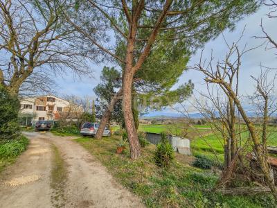 Strada Interpoderale delle Baracche, Civitella Paganico, Toscana 58045, İtalya