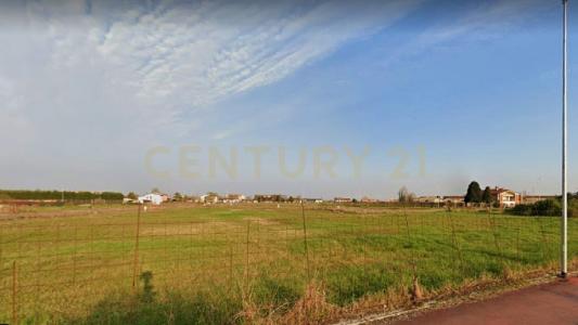 Via Olmo, Oppeano, Veneto 37050, Italia