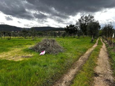 Vila Nova De Poiares, קוימברה 3350-000, פורטוגל