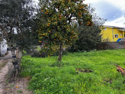 Vila Nova De Poiares, קוימברה 3350-000, פורטוגל