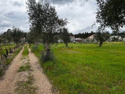 Vila Nova De Poiares, קוימברה 3350-000, פורטוגל
