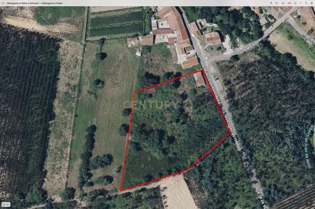 Albergaria A Velha, Aveiro 3850-233, Portugal