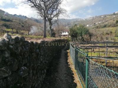 Lamego, Viseu 5100, Portugal