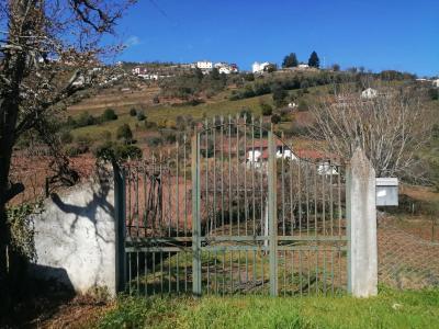 Lamego, Viseu 5100, Portugal