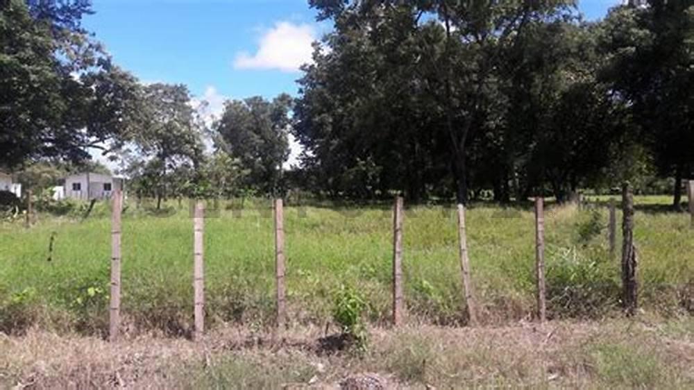 AV VIRGEN DE COTOCA KM 10 Lote 7, Este, Santa Cruz 00001, ボリビア