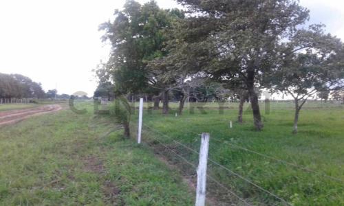AV VIRGEN DE COTOCA KM 10 Lote 7, Este, Santa Cruz 00001, ボリビア