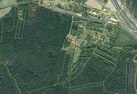 Jelení, Lubenec, Louny 100 00, République Tchèque