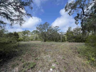 Surf Road, Panacea, Florida 32346
