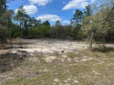 10848 SE 131 Terrace, Dunnellon, 佛罗里达州 34431, 美国