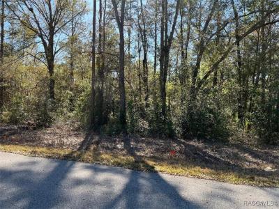 10848 SE 131 Terrace, Dunnellon, 佛罗里达州 34431, 美国