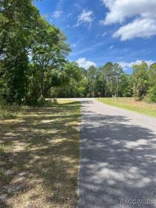 10848 SE 131 Terrace, Dunnellon, 佛罗里达州 34431, 美国