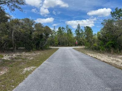 10848 SE 131 Terrace, Dunnellon, 佛罗里达州 34431, 美国