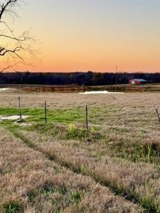 14926 (TRACT 2) County Road 438, Lindale, Texas 75771, USA