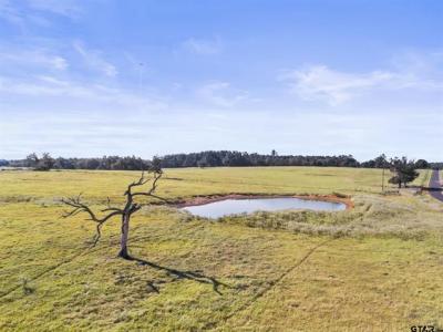 14926 (TRACT 2) County Road 438, Lindale, Texas 75771, USA