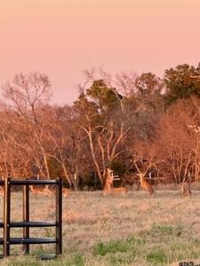 14926 (TRACT 2) County Road 438, Lindale, Texas 75771, USA