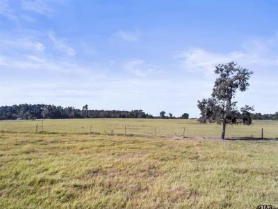 14926 (TRACT 3) County Road 438, Lindale, Texas 75771, USA