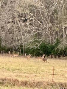 14926 (TRACT 3) County Road 438, Lindale, Texas 75771, USA
