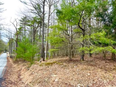 Lot 11  Magnolia Drive, Glen Spey, 纽约州 12737, 美国