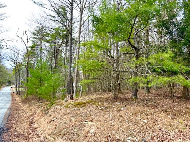 Lot 11  Magnolia Drive, Glen Spey, 纽约州 12737, 美国