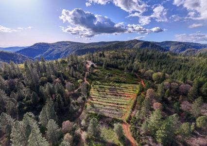 10571 Sebastopol Road, North San Juan, California 95960, USA