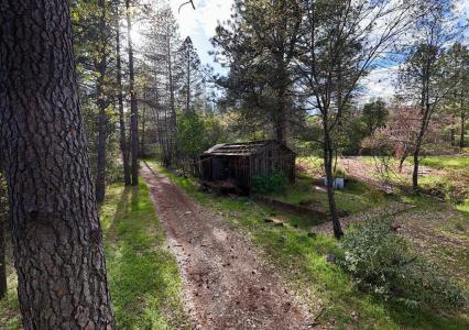 10571 Sebastopol Road, North San Juan, 加州 95960, 美國