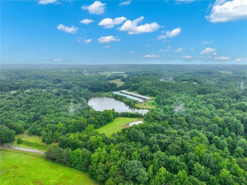 397 Reed Brawner Road, Royston, Georgia 30662