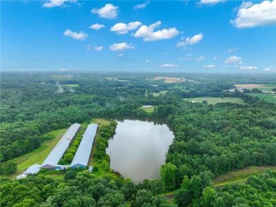 397 Reed Brawner Road, Royston, Georgia 30662
