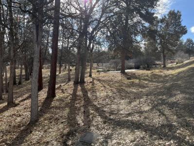 LOT 918 REDSTART, Klamath Falls, 奧勒崗州 97601, 美國