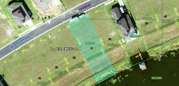 160 CALADIUM AVENUE, Lake Alfred, Florida 33850, USA