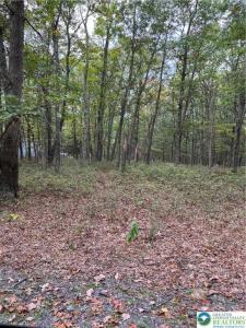 275 Forest Drive, Price Twp, Pensilvania 18325, Estados Unidos