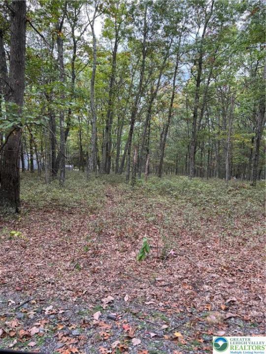 275 Forest Drive, Price Twp, Pennsylvania 18325