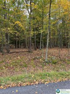 289 Forest Drive, Price Twp, Pennsylvania 18325, USA