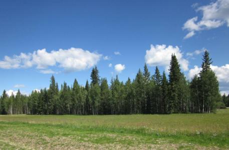 48 BOUNDARY, Rural Clearwater County, Alberta T0M 0M0, CANADÁ